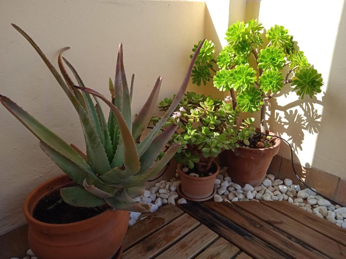 Livingtarifa Apartamento Nano Eksteriør billede