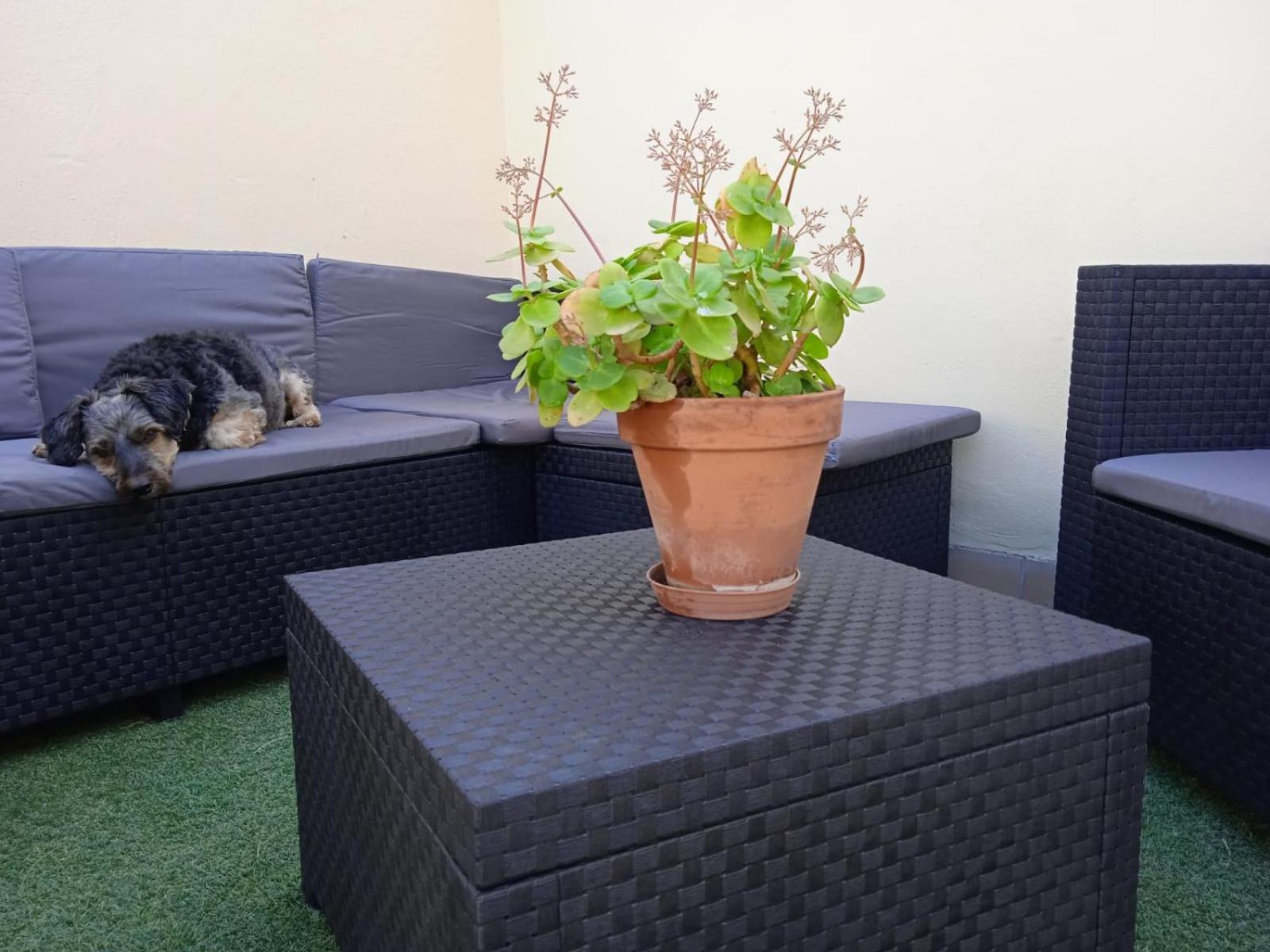 Livingtarifa Apartamento Nano Eksteriør billede