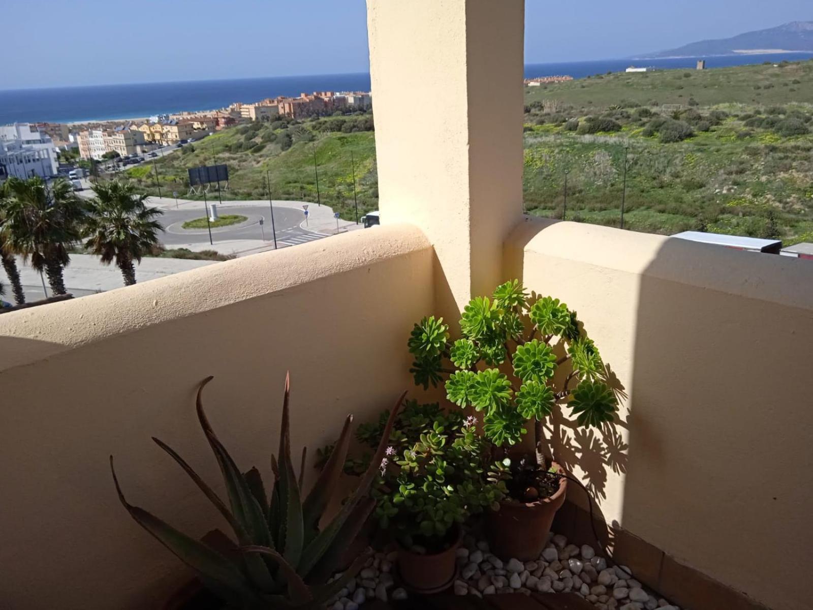 Livingtarifa Apartamento Nano Eksteriør billede